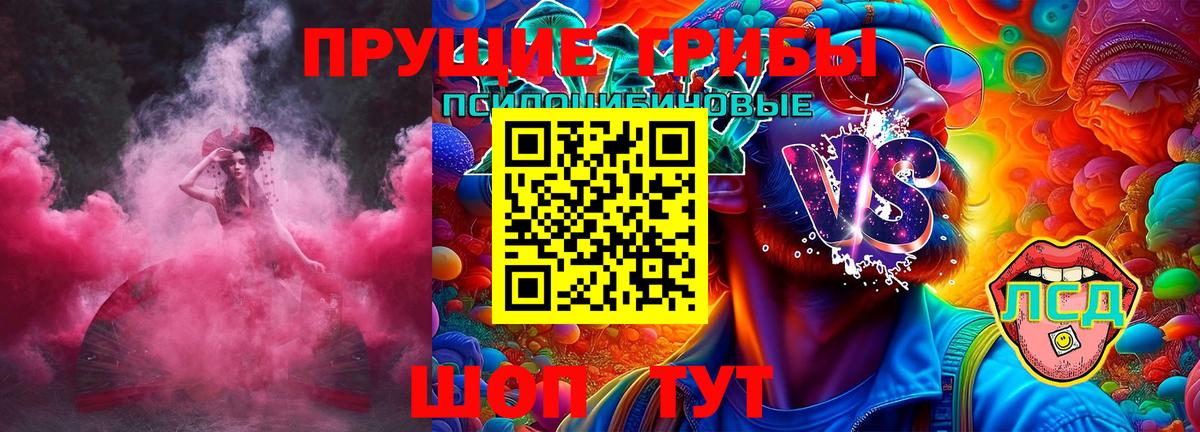 Галлюциногенные грибы прущие грибы Калининград