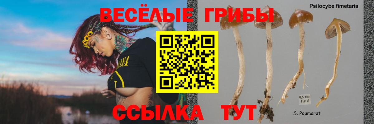 Галлюциногенные грибы прущие грибы  Вход с VPN  Галлюциногенные грибы мухоморы  Калининград 